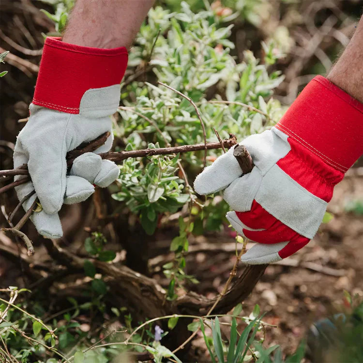 Gloves & Protective Gear