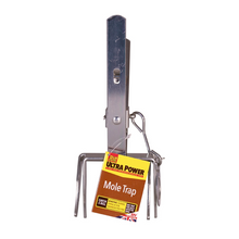 The Big Cheese Mole Claw Trap