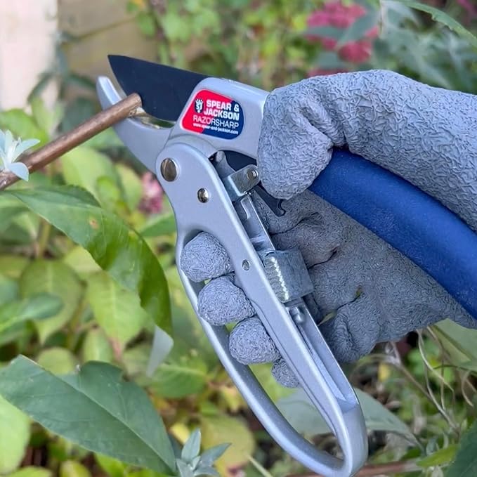 Spear & Jackson Ratchet action Anvil Secateurs
